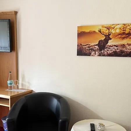 Parkhotel Hotel *
